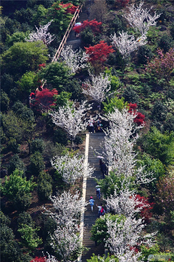 优秀奖-《七彩花道》彭珉翔.jpg