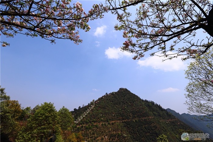 优秀奖-《宛如富士山》陈宇婷.jpg