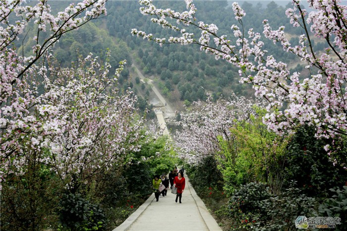 优秀奖-《茶山游》 刘振宇.jpg