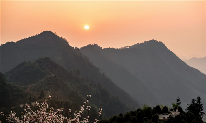 优秀奖-《茶山日出》陈世尧.jpg