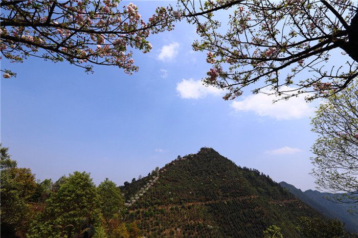 优秀奖-《宛如富士山》陈宇婷.jpg