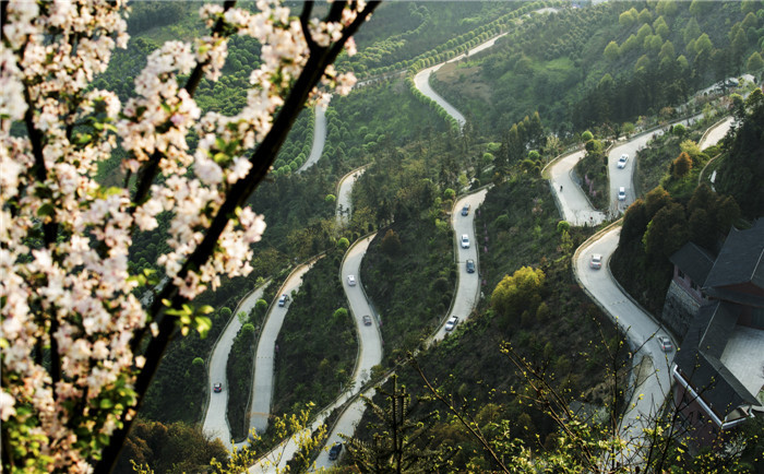 二等奖-张光金 《车水马龙花海游》.jpg